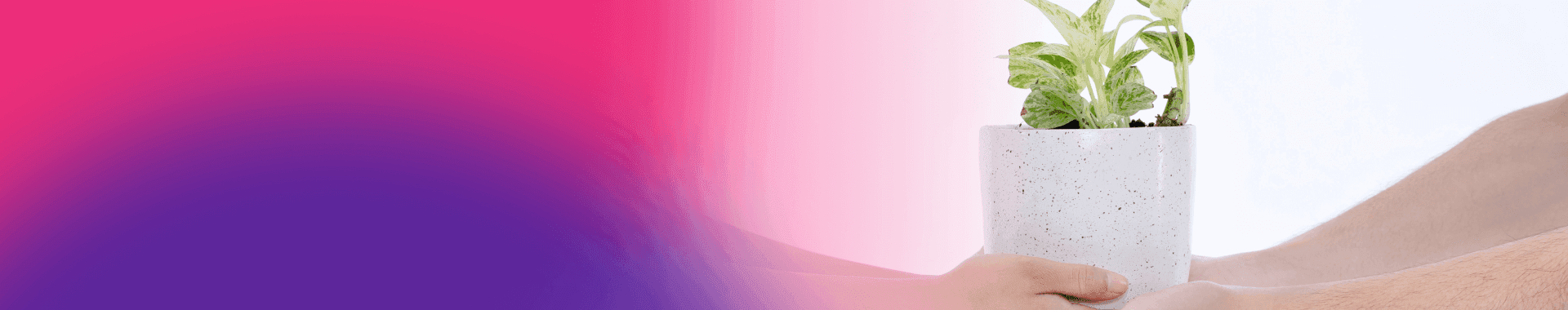 Hero Banner