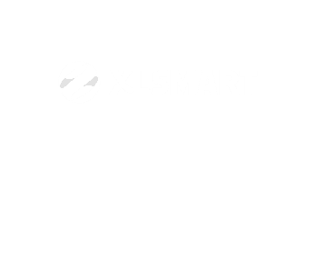 XLSMART